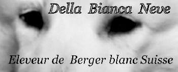 Della Bianca Neve - Présentation 