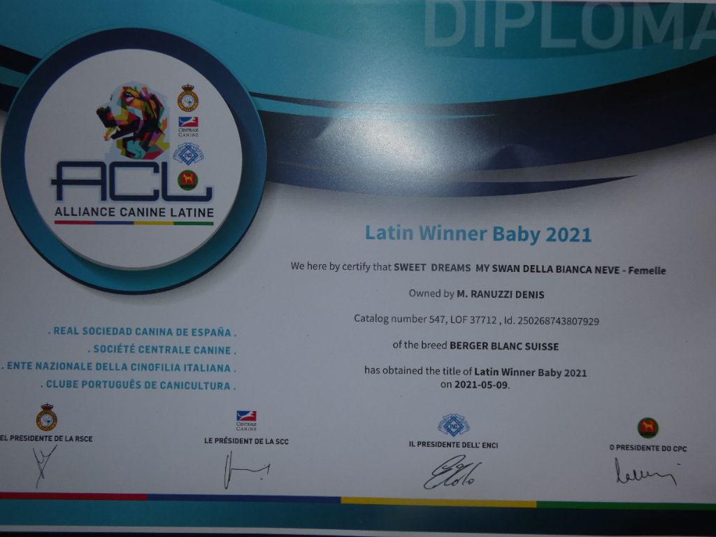 Della Bianca Neve - Latin Winner 2021