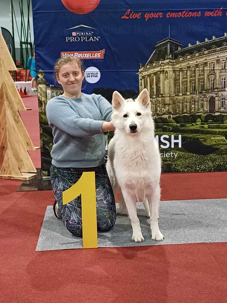 Della Bianca Neve - BRUXELLES DOG SHOW 2023