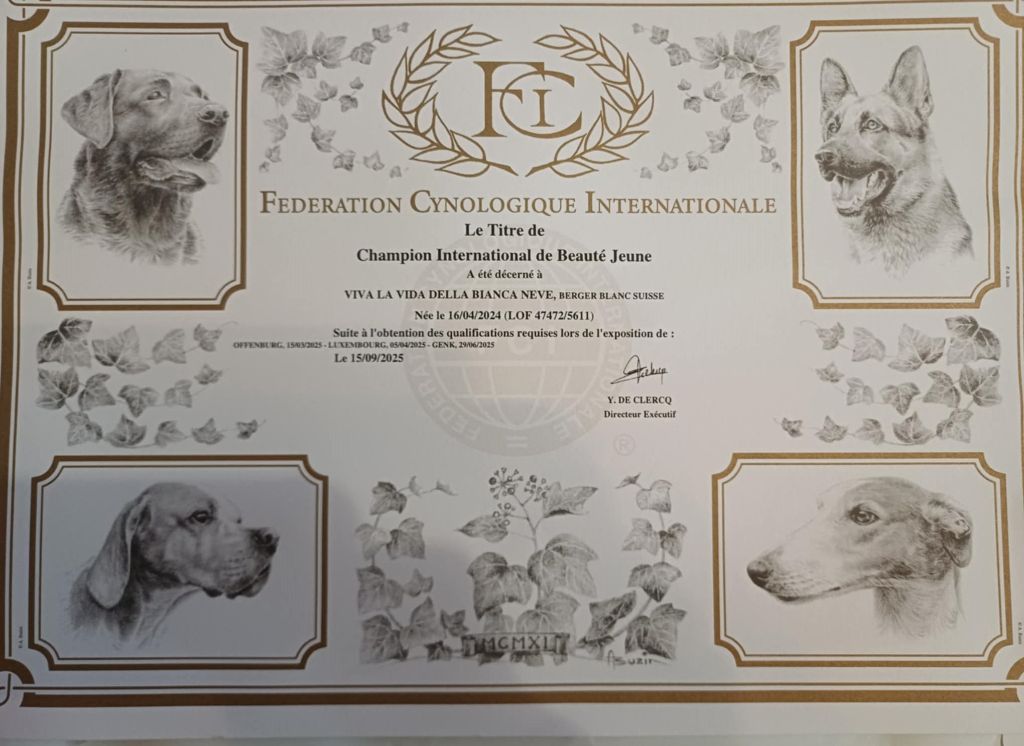 Championne Internationale de Beauté - Jeune